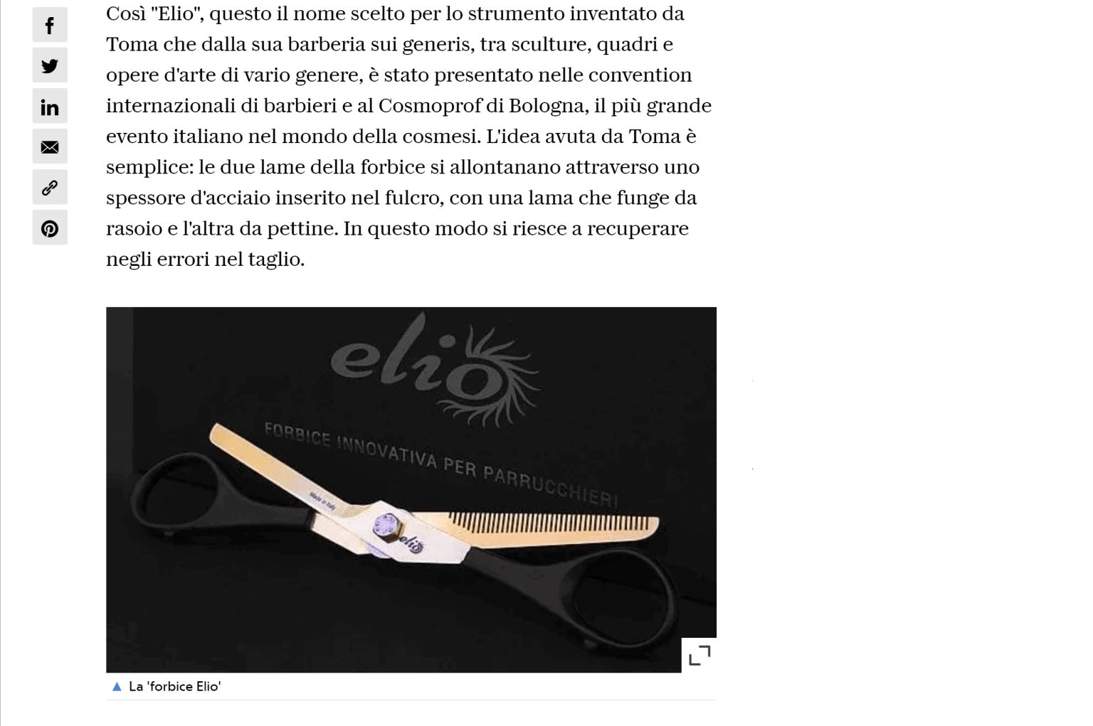 Forbice Elio - Articolo Repubblica - parte 2